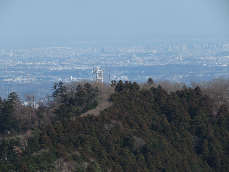 陣馬山、高尾山