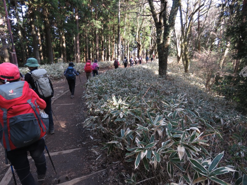 陣馬山、高尾山