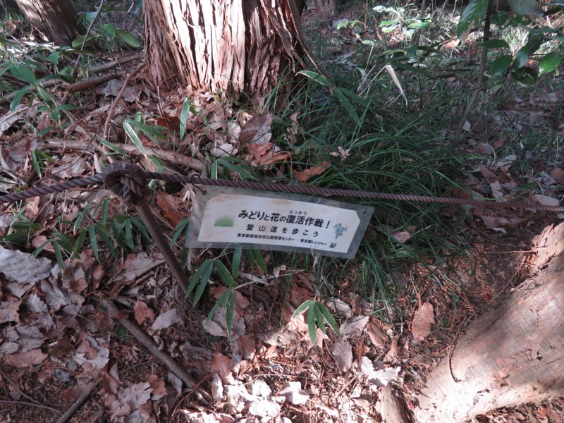 陣馬山、高尾山