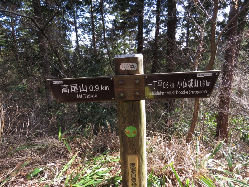 陣馬山、高尾山