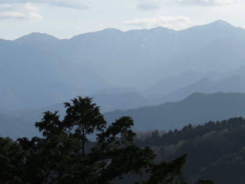 陣馬山、高尾山