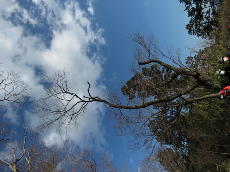 陣馬山、高尾山