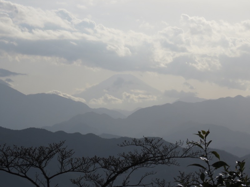 陣馬山、高尾山