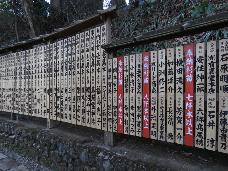 陣馬山、高尾山