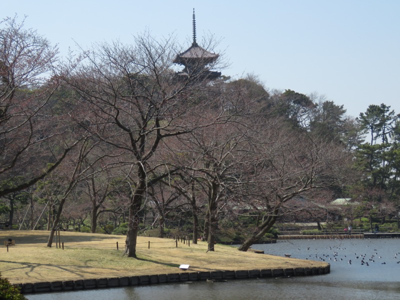 横浜ハイキング