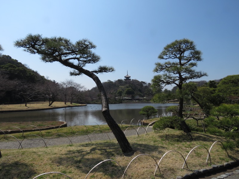 横浜ハイキング