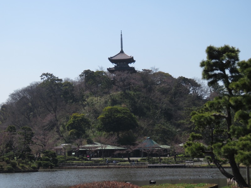 横浜ハイキング