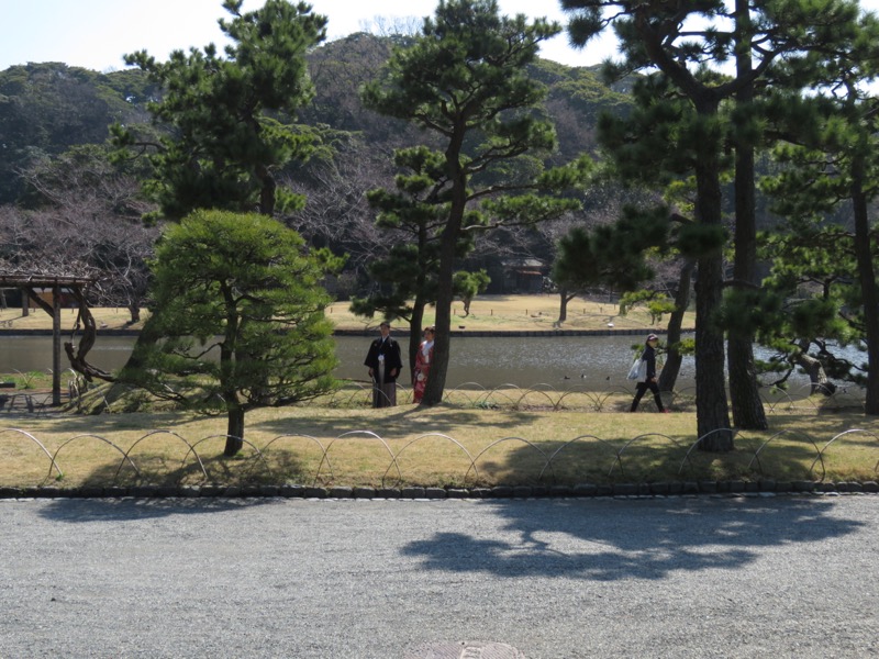 横浜ハイキング