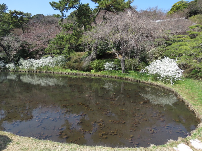 横浜ハイキング