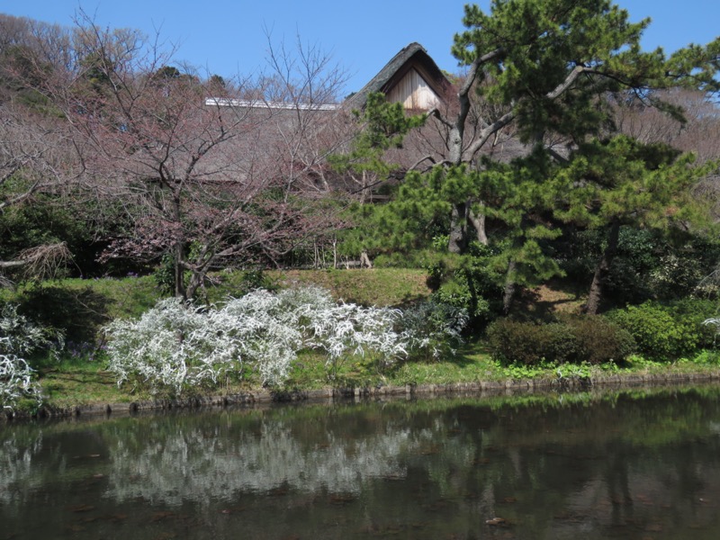 横浜ハイキング