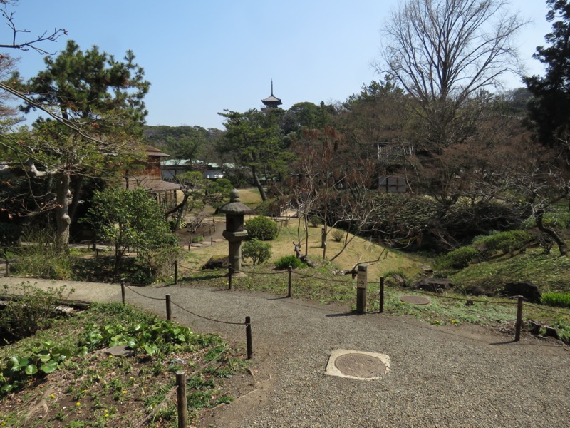 横浜ハイキング