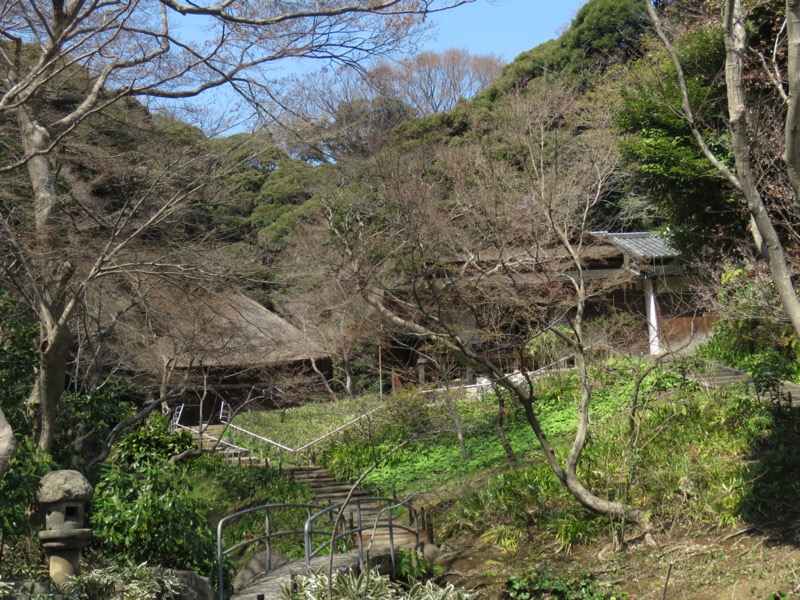 横浜ハイキング