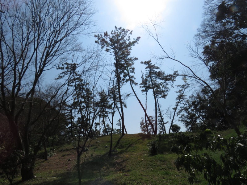 横浜ハイキング