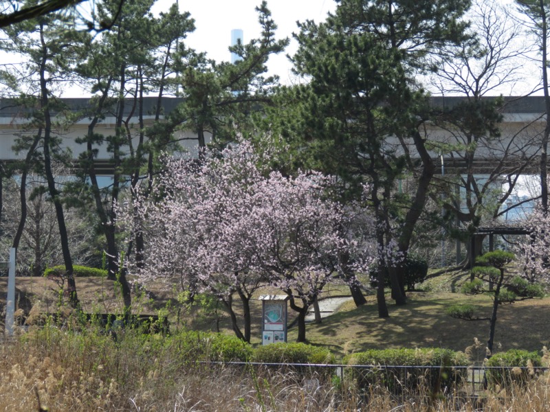 横浜ハイキング