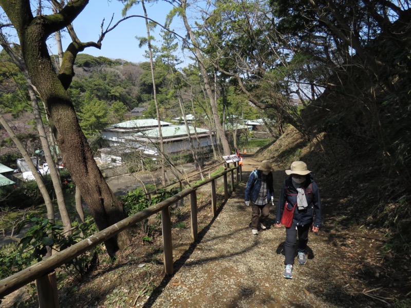 横浜ハイキング