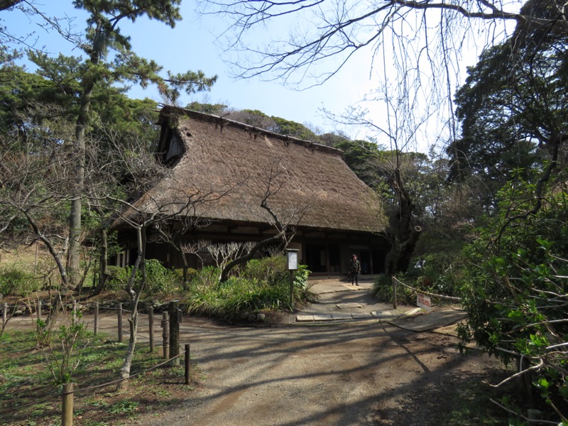 横浜ハイキング