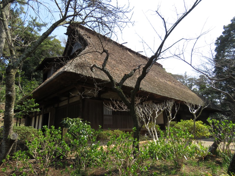 横浜ハイキング