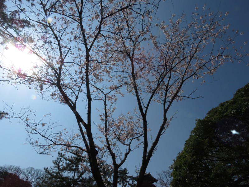 横浜ハイキング