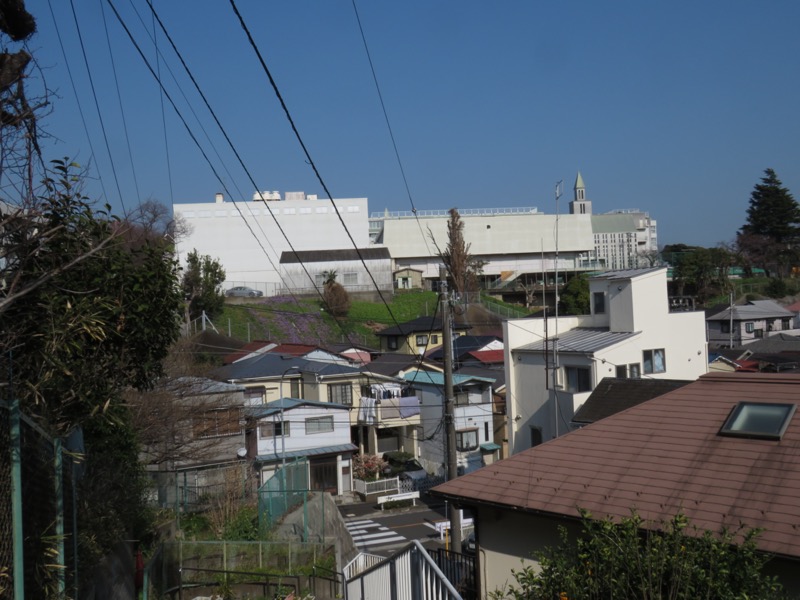 横浜ハイキング