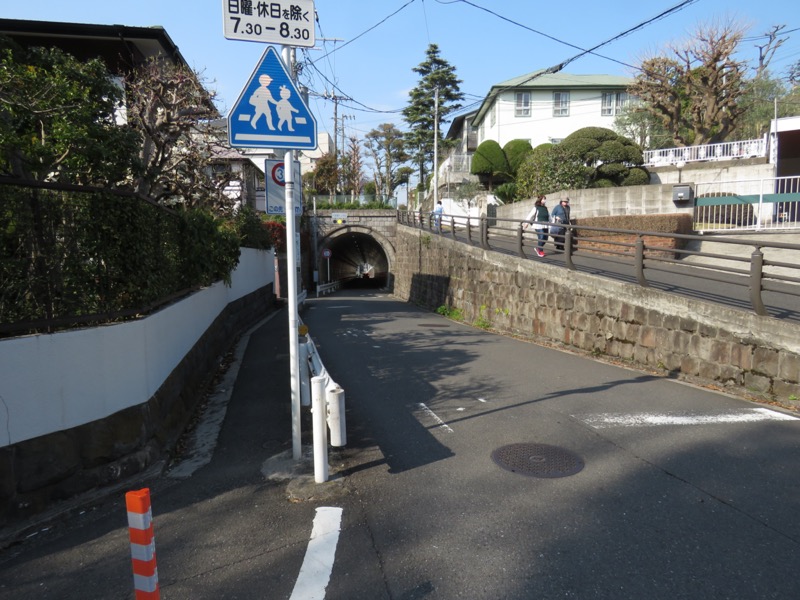 横浜ハイキング