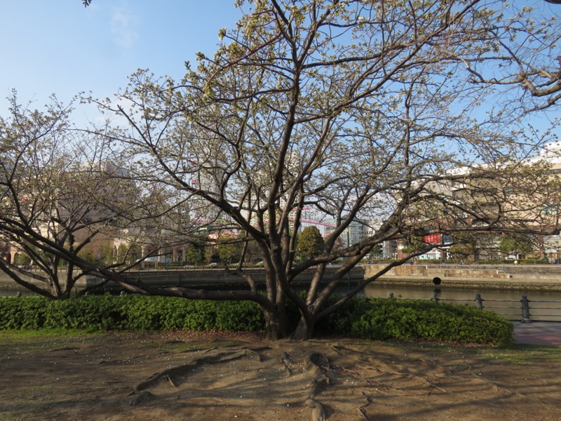 横浜ハイキング