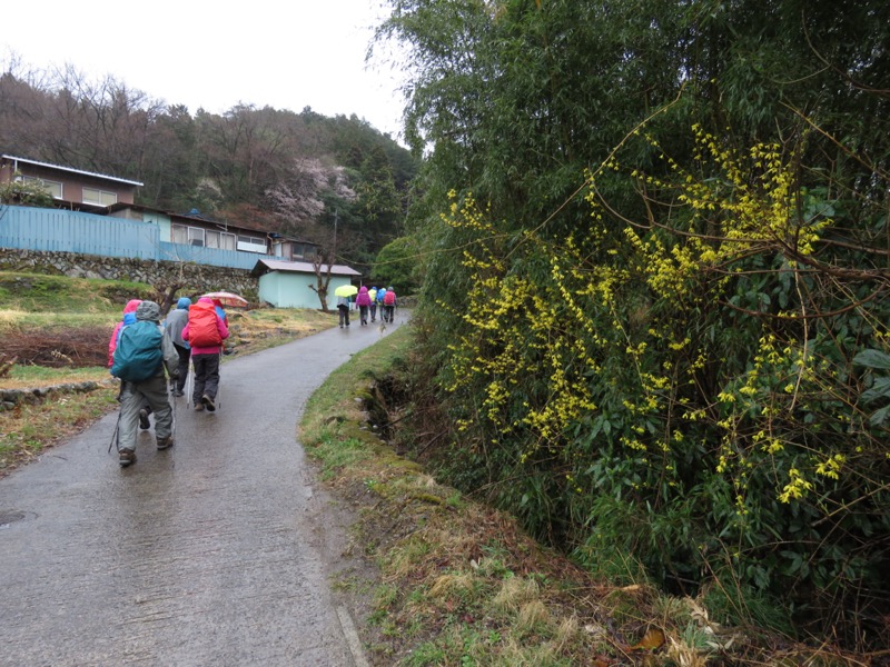 笠山、堂平山