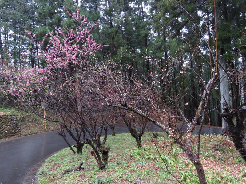 笠山、堂平山