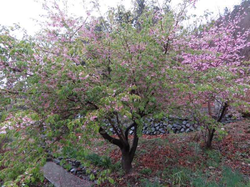 笠山、堂平山