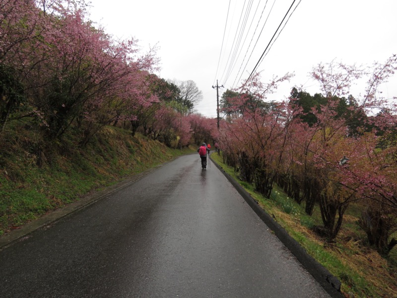 笠山、堂平山