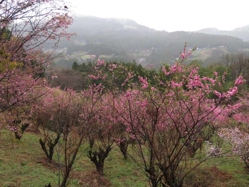 笠山、堂平山