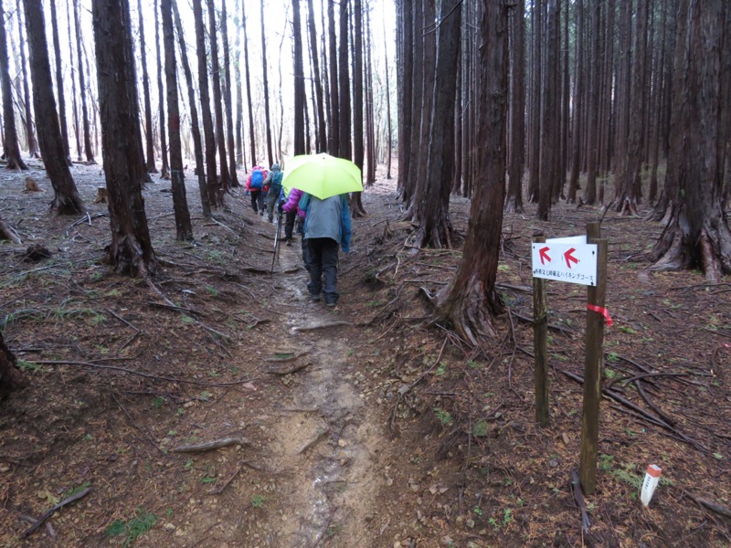 笠山、堂平山