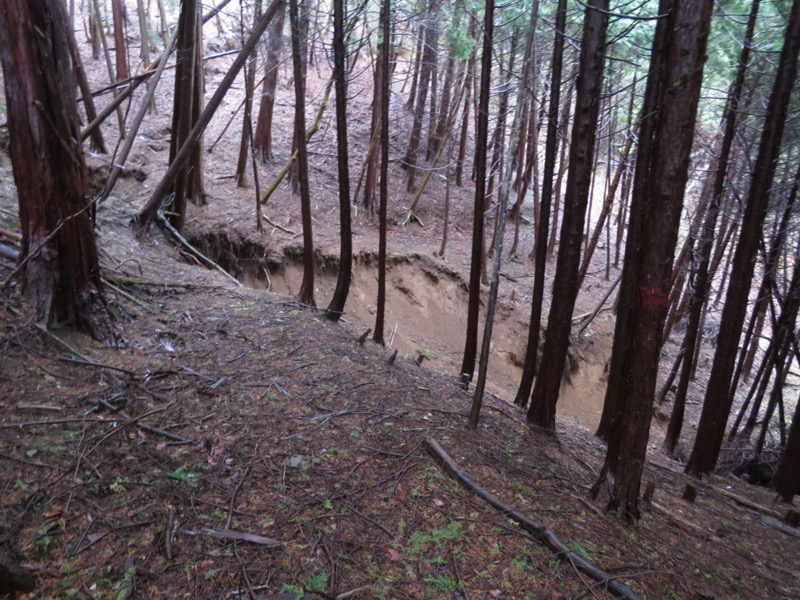 笠山、堂平山