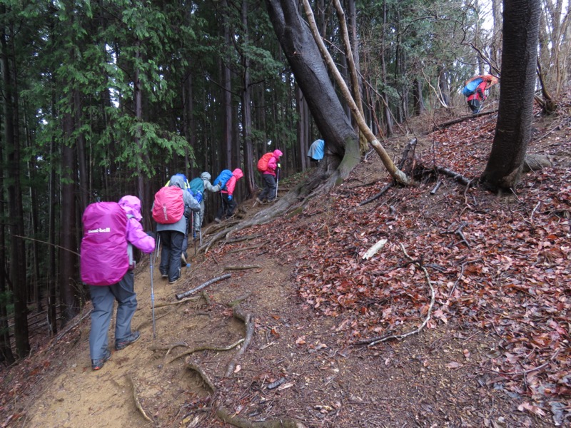 笠山、堂平山