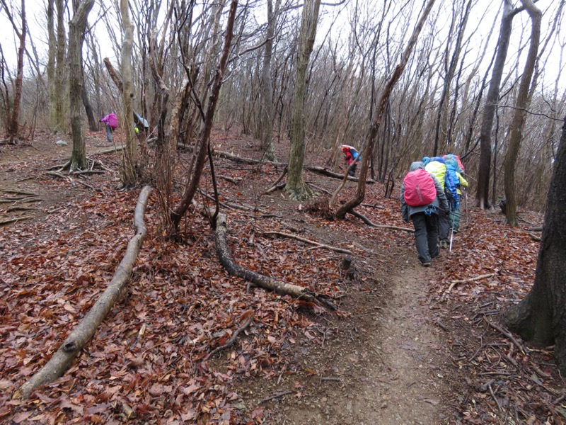 笠山、堂平山