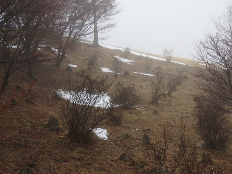 笠山、堂平山