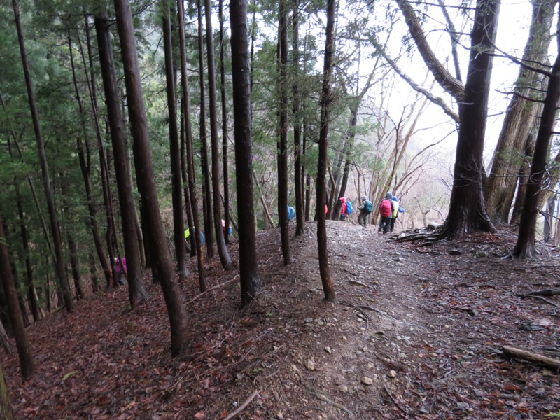 笠山、堂平山