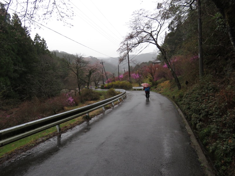 笠山、堂平山