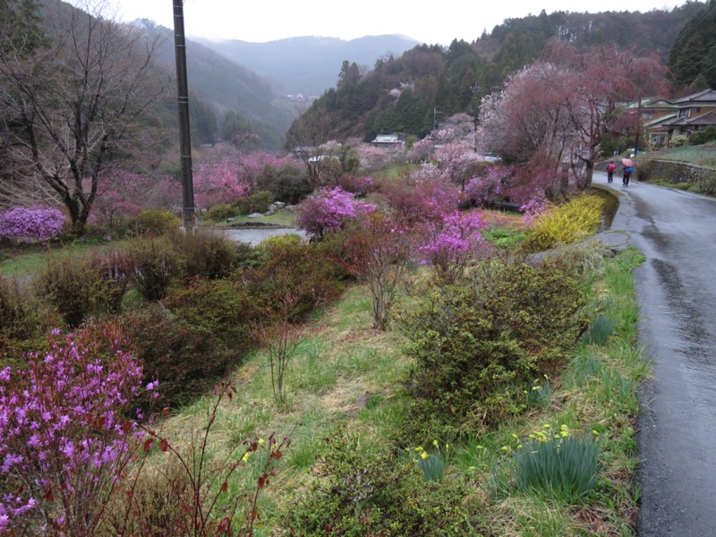 笠山、堂平山