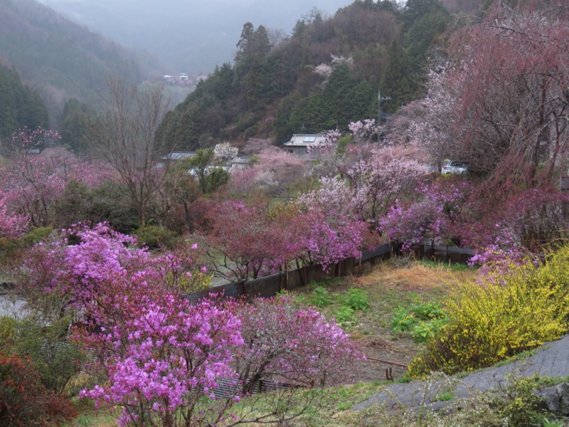 笠山、堂平山