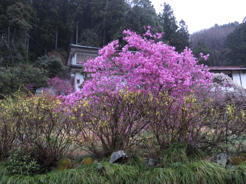 笠山、堂平山