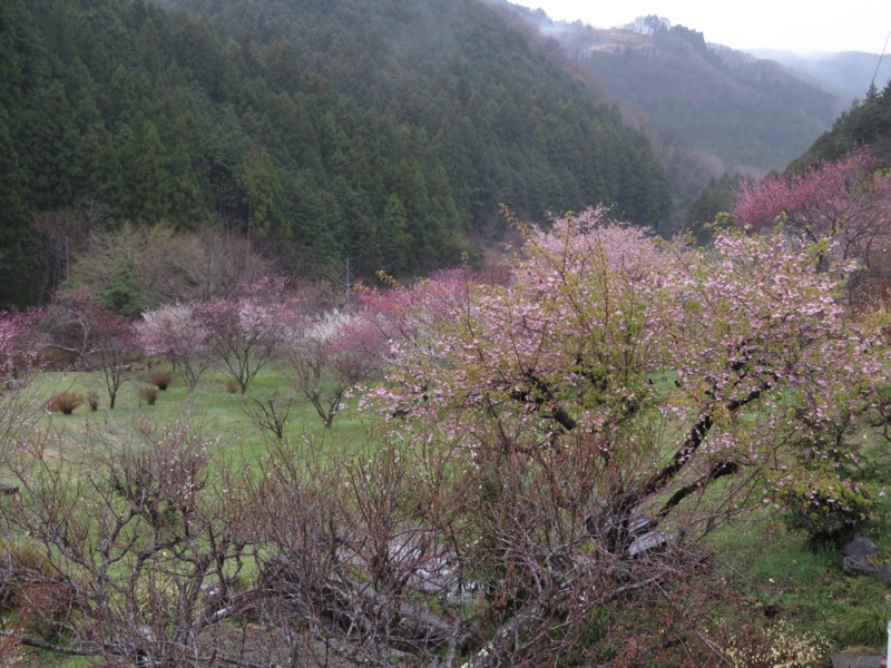 笠山、堂平山