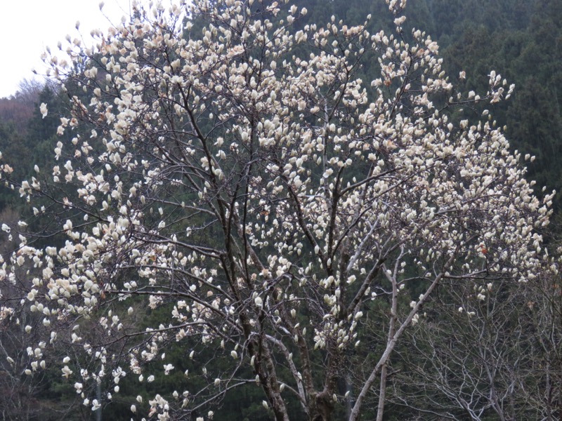 笠山、堂平山