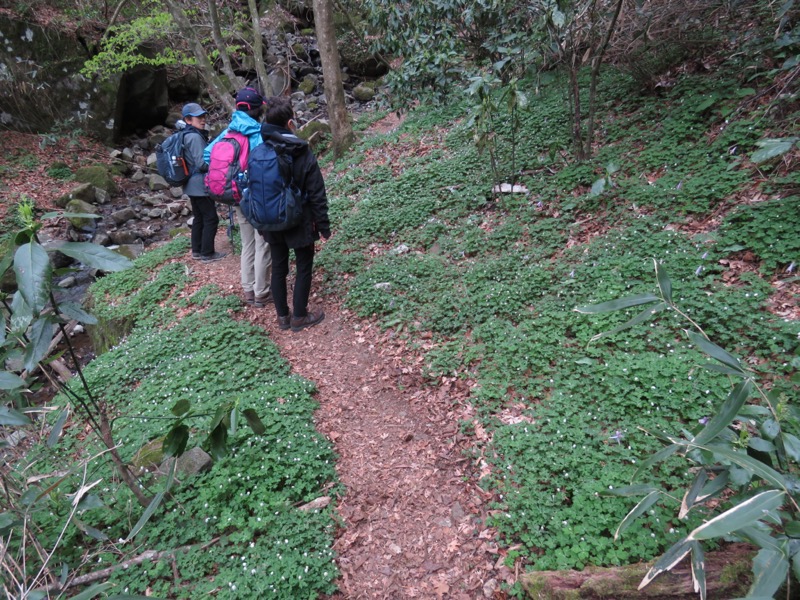 筑波山・女の川