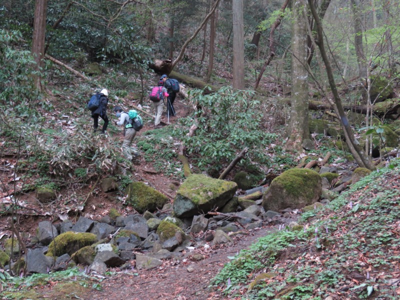 筑波山・女の川