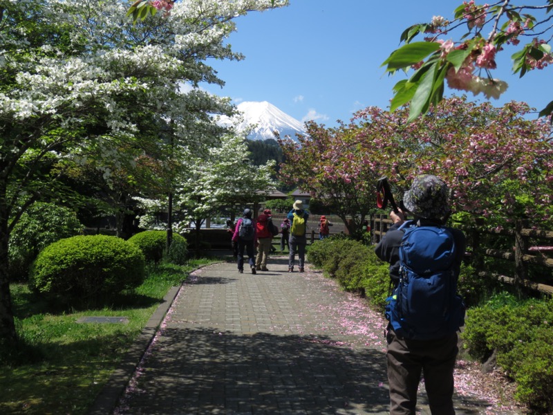 倉見山、桂川公園