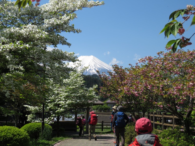 倉見山、富士山