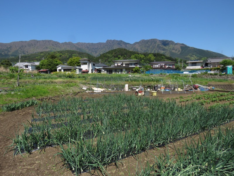 倉見山、桂川公園、三ツ峠山