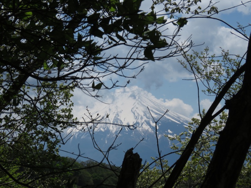 倉見山