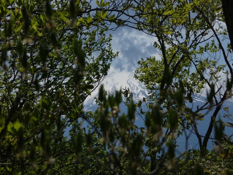 倉見山