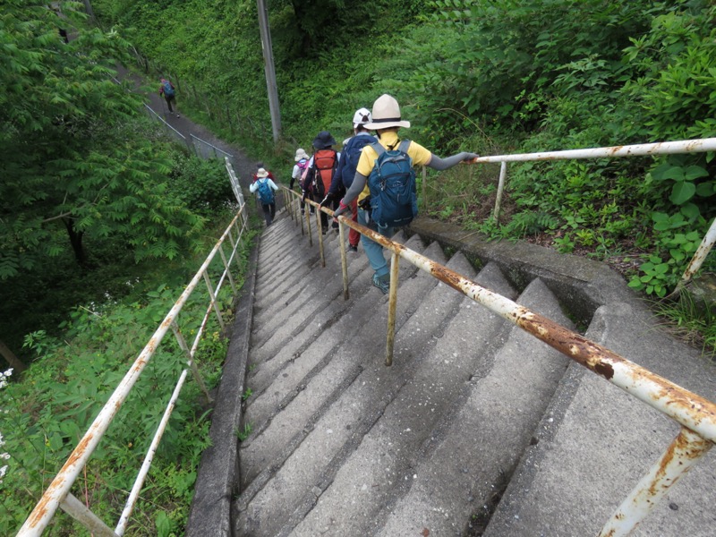 伊豆ヶ岳、